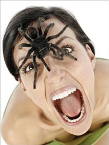 Hypnosis for fear of insects and spiders - Hypnosis for fear of insects - hypnosis for fear of spiders