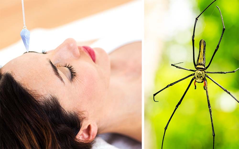 Hypnosis for fear of spiders