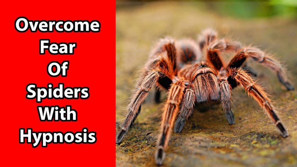 Get rid of fear of bugs with hypnosis