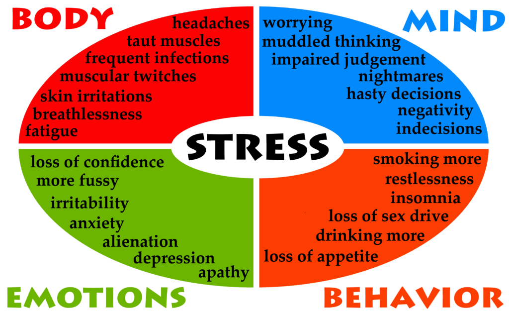 Physical Level of Stress